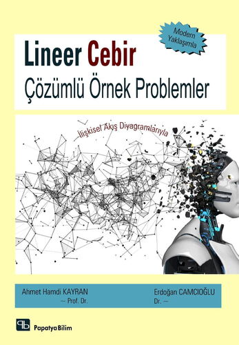 Lineer Cebir Çözümlü Örnek Problemler - İlişkisel Akış Diyagramlarıyla