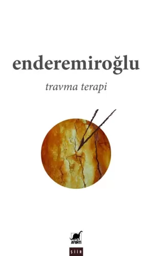 Travma Terapi enderemiroğlu